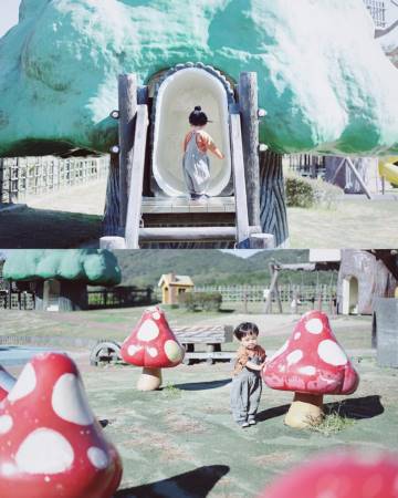 龙年取名
