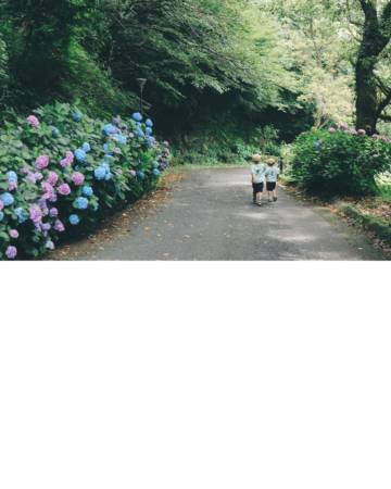 女孩起名
