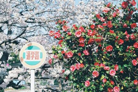 孩子起名字