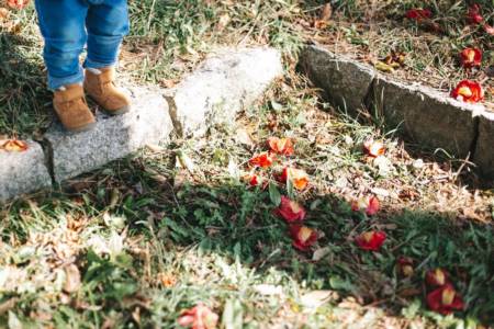 龙年宝宝起名字