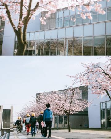 生辰八字起名字