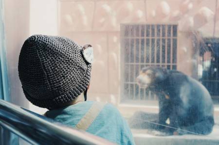 七划的字起名字