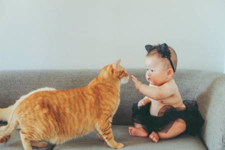 孩子取名