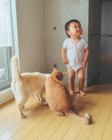 孩子取名