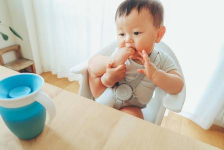 女宝起名