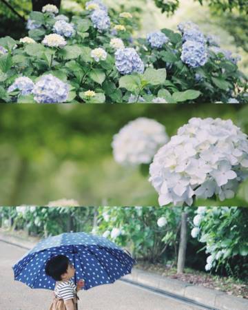 宝宝起名