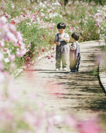 龙宝宝起名
