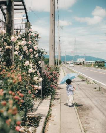 男孩取名