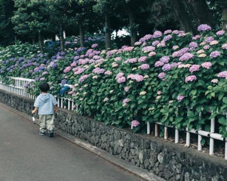 男孩取名