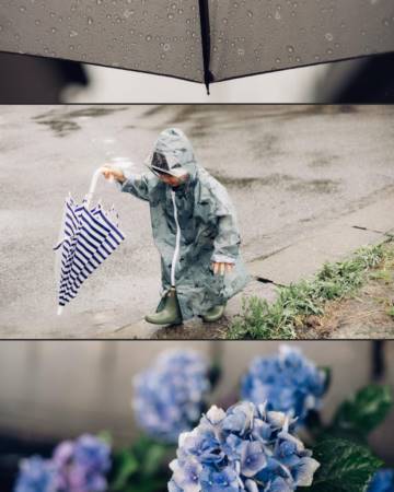 龙宝宝起名