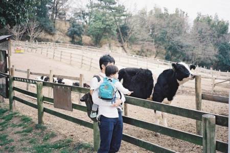 男宝宝取名