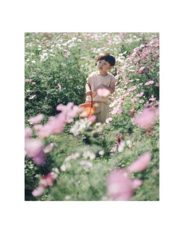 女孩起名