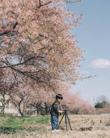 男孩起名
