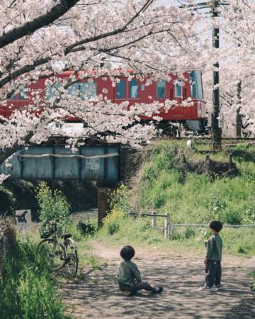 女孩取名