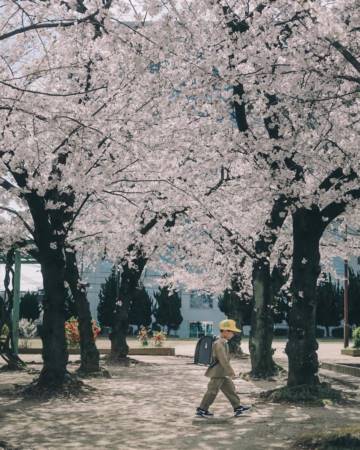 女宝宝取名