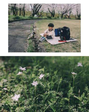龙宝宝起名