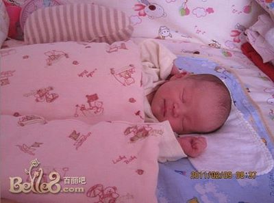 立的五行属性