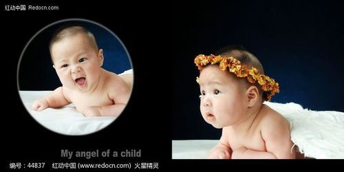 带胤字的名字
